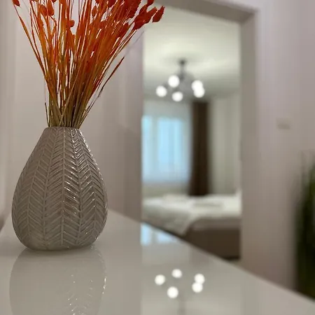 Esi #central With Garage * Τιμισοάρα