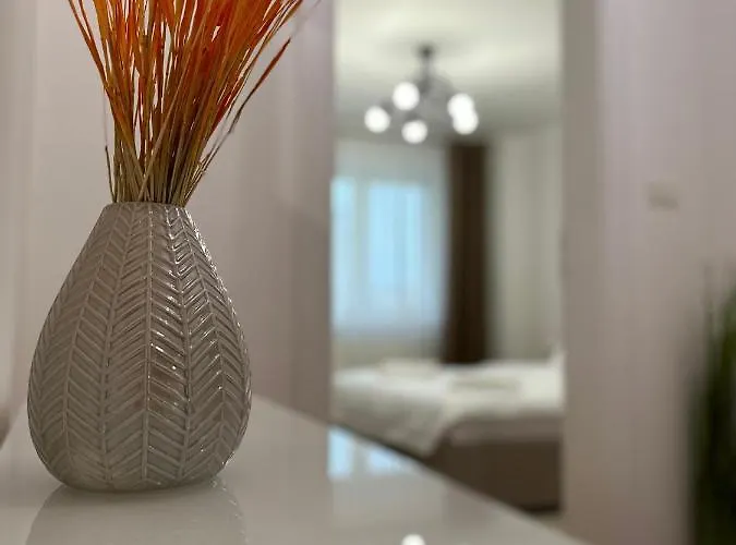 Esi #central With Garage * Timişoara